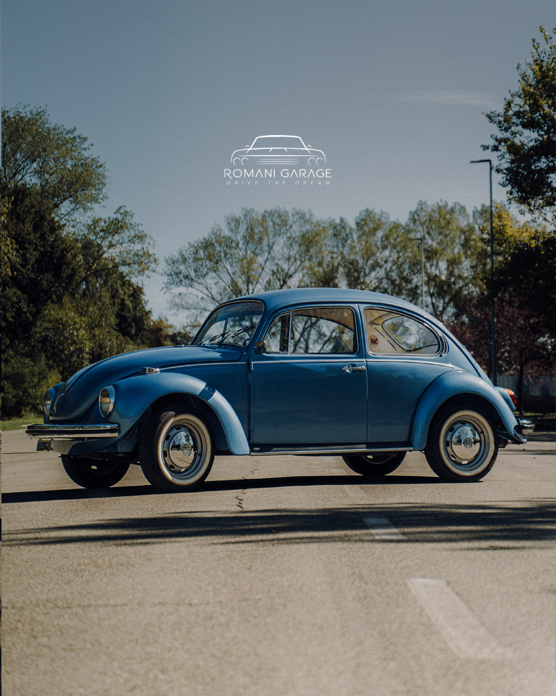 Maggiolino_Home-template_v3